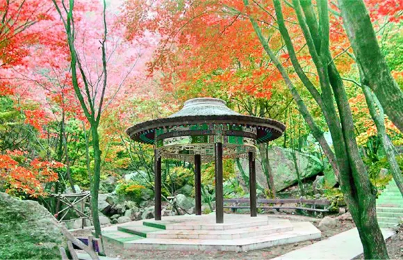 A scenic view of Nanyang Zhanghengmu