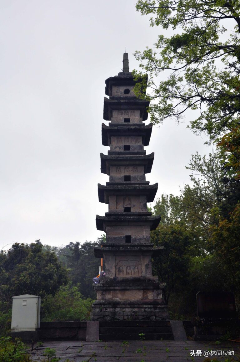 The Best of Ningbo Erlingta: A Perfect Blend of Nature and Local Charm