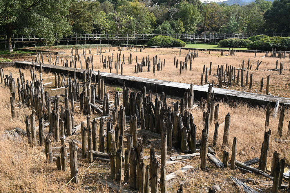 A scenic view of Ningbo Hemudu Yizhi
