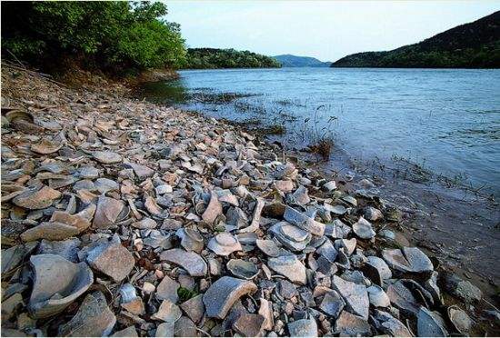 A scenic view of Ningbo Shanglinhu Yueyao Yizhi