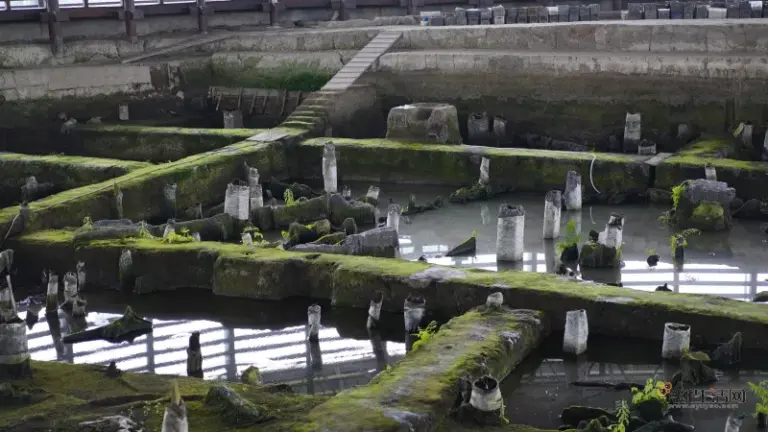 A Local’s Guide to Ningbo Tianluoshan Yizhi: Explore Zhejiang’s Scenic Treasures