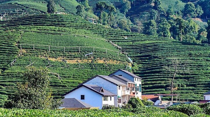 A scenic view of Ningbo Wangshouren Guju