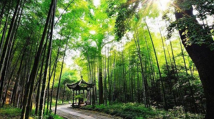A scenic view of Ningbo Wangshouren Guju