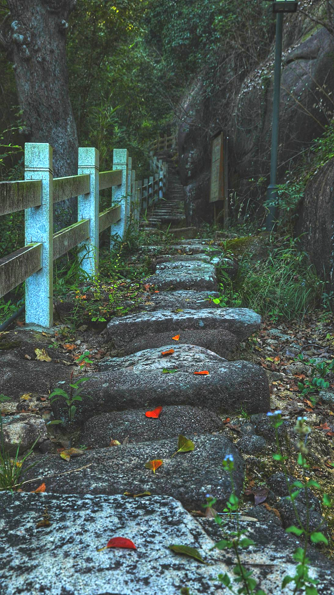 A scenic view of Ningde Baiheling Fuwen Gudao
