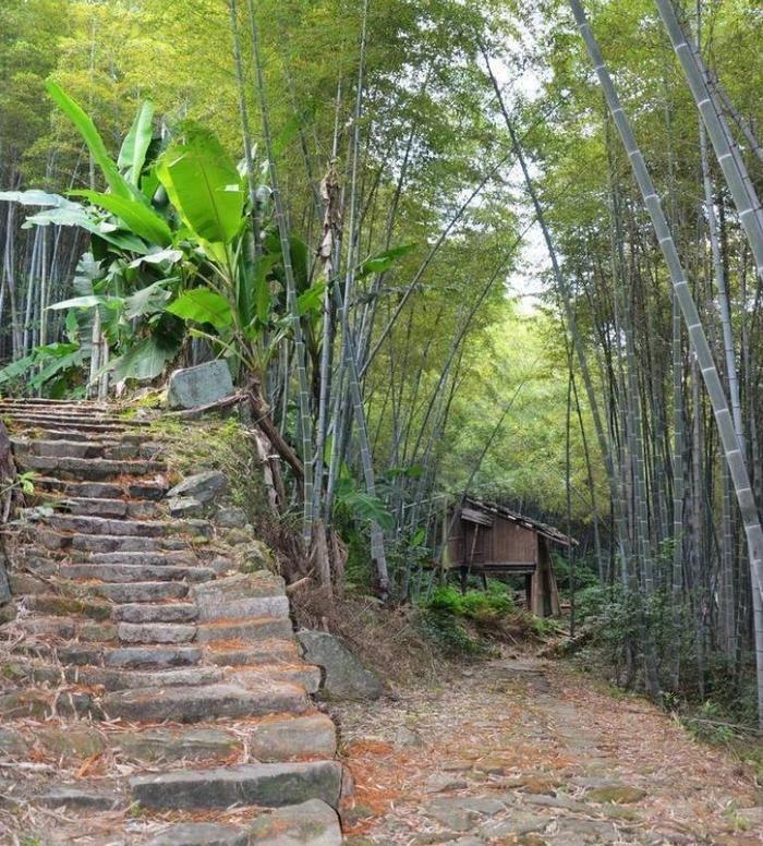 A scenic view of Ningde Baiheling Fuwen Gudao