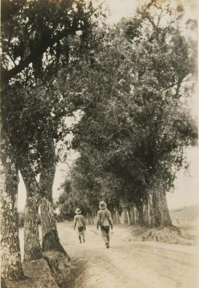 A scenic view of Pingliang Jingning Wenmiao