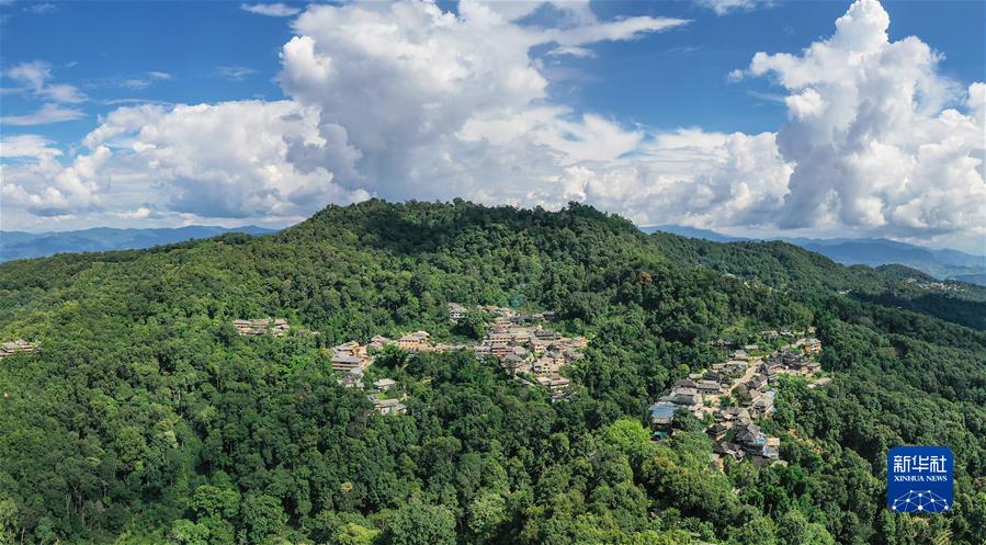 A scenic view of Puer Jingmai Guchayuan