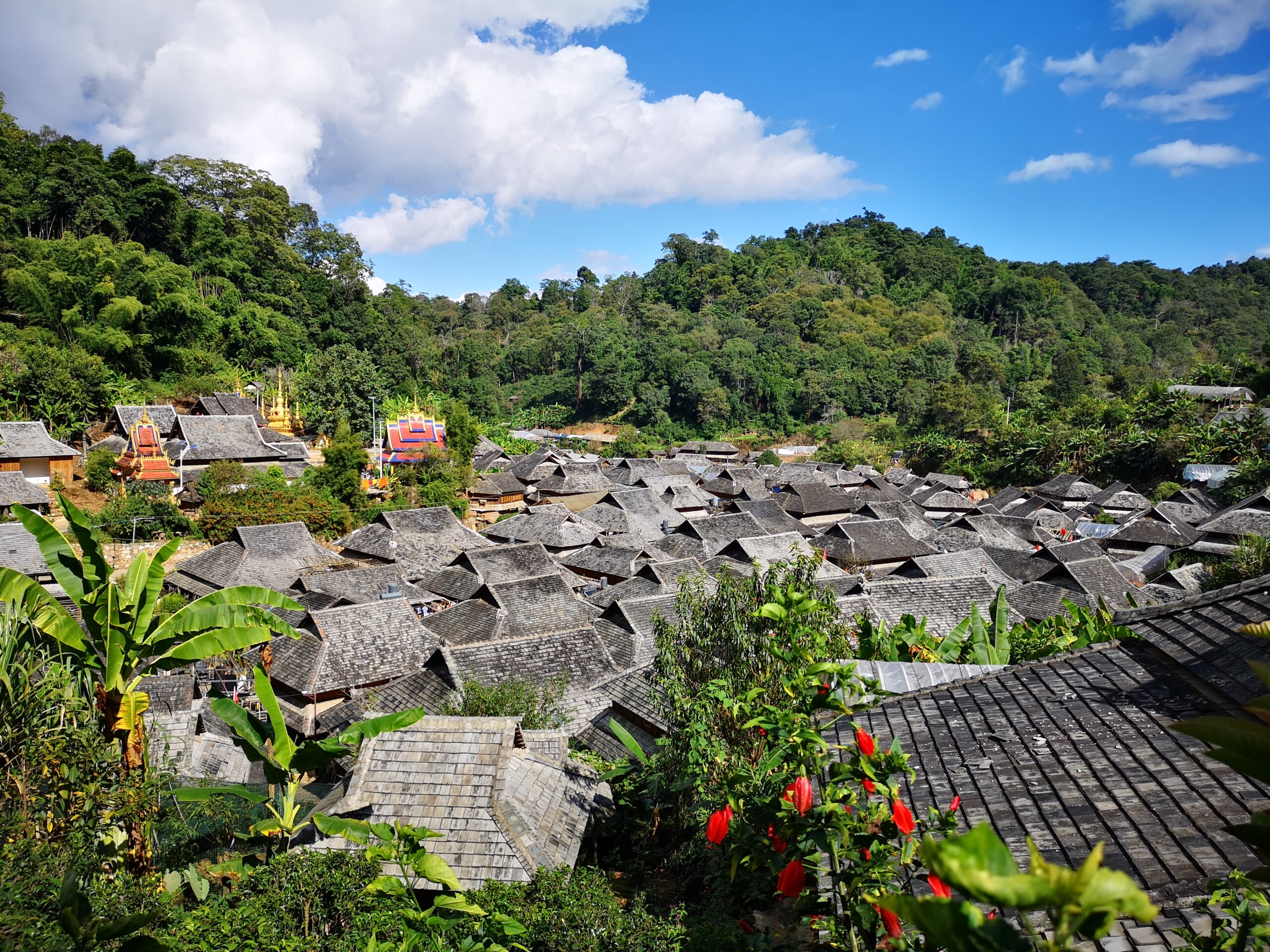 A scenic view of Puer Jingmai Guchayuan
