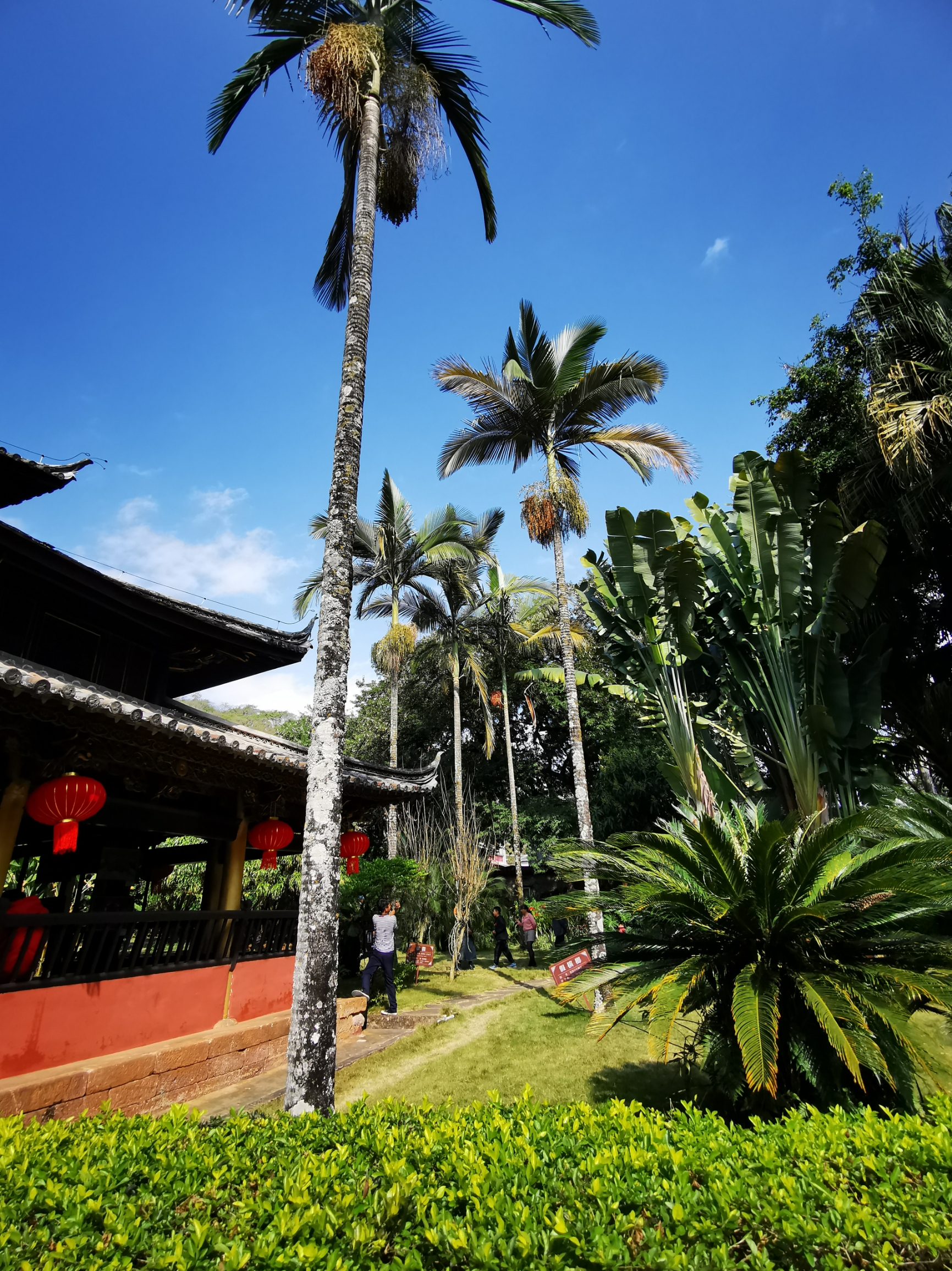 A scenic view of Puer Menglian Xuanfusi Shu