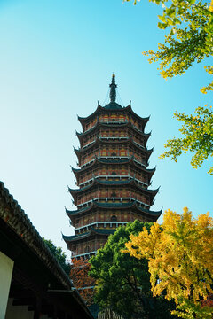 A scenic view of Putian Licheng Baoensi Ta