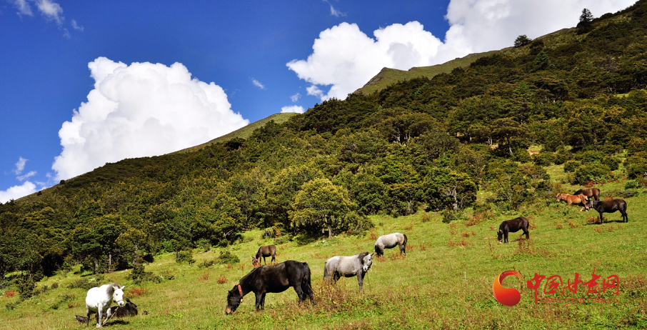 A scenic view of Qingyang Luochuan Zhaoshi Shifang