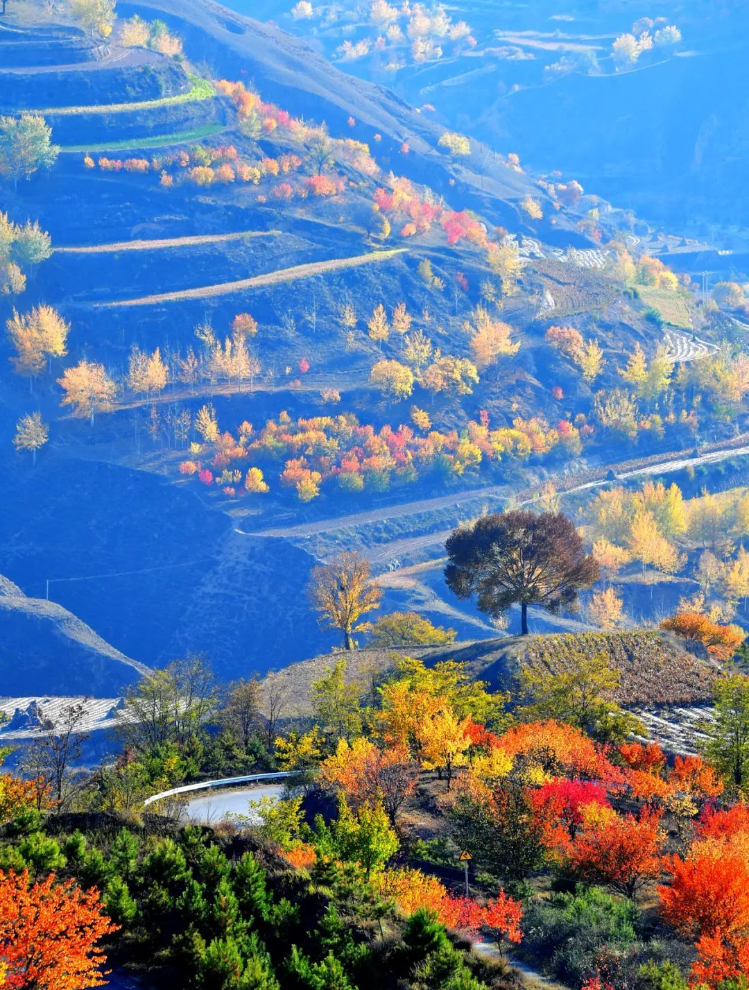 A scenic view of Qingyang Qinzhidao Yizhi Qingyangduan