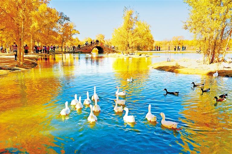 A scenic view of Qingyang Xiaojin Ta