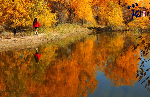 A scenic view of Qingyang Xiaojin Ta