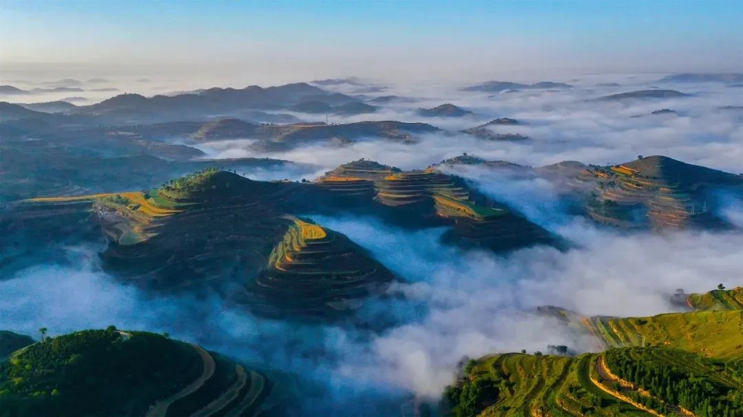 A scenic view of Qingyang Xinglongshan Gujianzhuqun