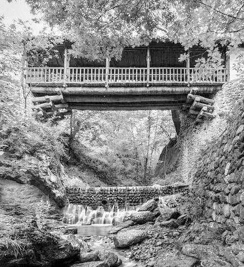 A scenic view of Qingyang Xinglongshan Gujianzhuqun