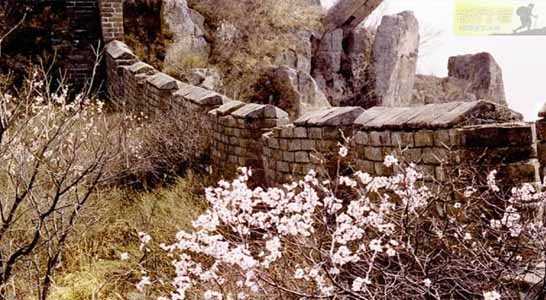 A scenic view of Qinhuangdao Banchangyu Kiln Group Site