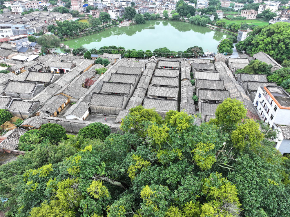 A scenic view of Qinzhou Dalucun Gujianzhuqun