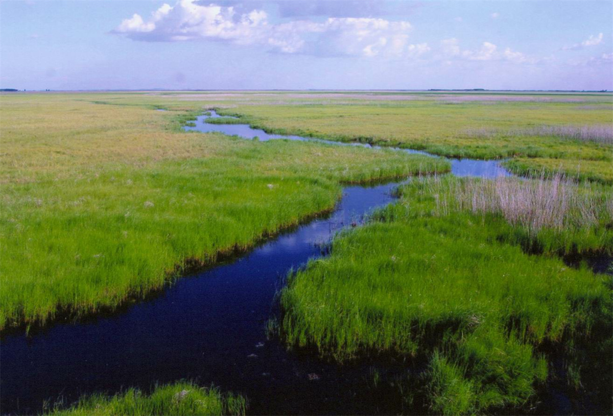 A scenic view of Qiqihar Honghe Yizhi
