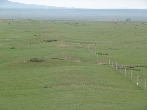 A scenic view of Qiqihar Jinjiehao Yizhi