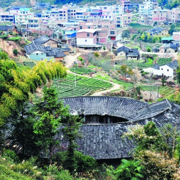 A scenic view of Quanzhou Anxi Tulou