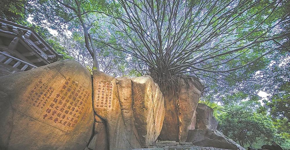 A scenic view of Quanzhou Jiurishan Moya Shike