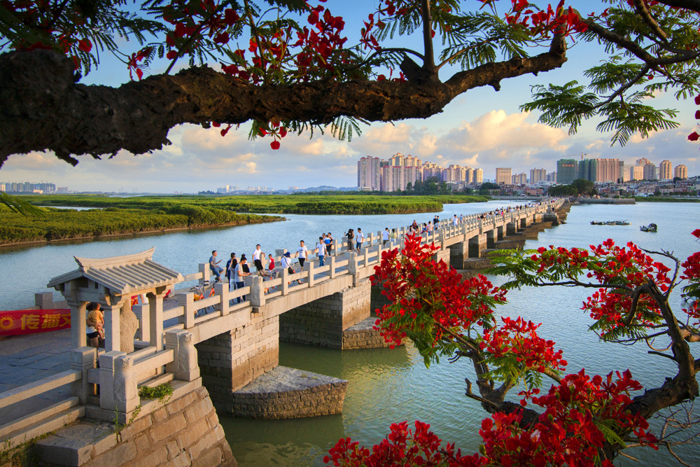 A scenic view of Quanzhou Luoyangqiao
