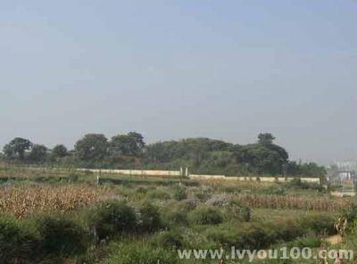 A scenic view of Qujing Batai Muqun