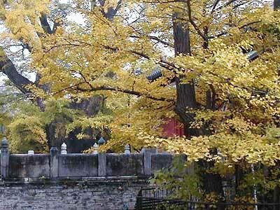 A scenic view of Qujing Luliang Dajuesi