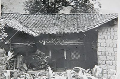 A scenic view of Qujing Luohanshan Gumuqun
