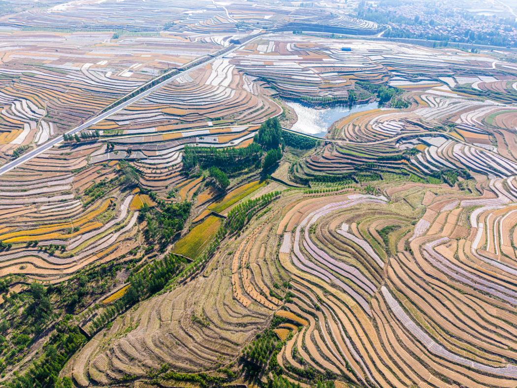 A scenic view of Rizhao Dantu Yizhi