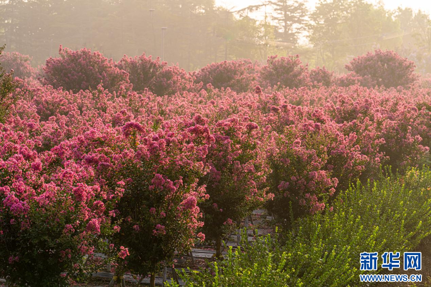 A scenic view of Rizhao Dazhujiacun Yizhi