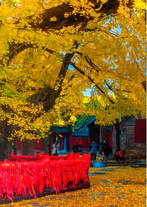 A scenic view of Rizhao Donghaiyu Yizhi