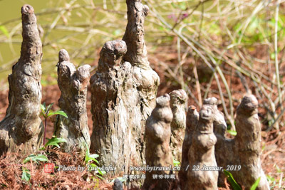 A scenic view of Rizhao Hangtou Yizhi