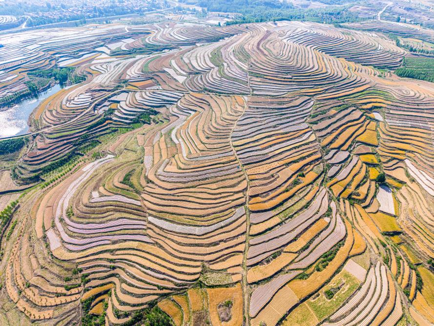 A scenic view of Rizhao Hangtou Yizhi