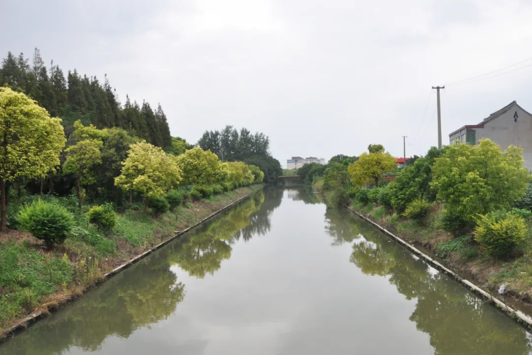 A scenic view of Shanghai Fengxian Huating Haitang Fengxianduan