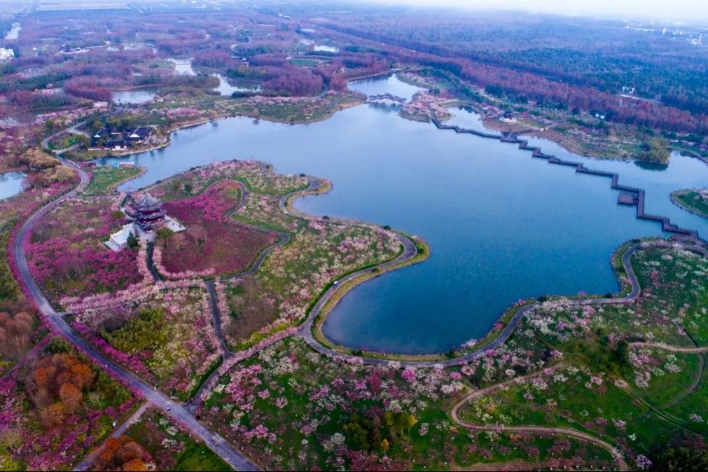 A scenic view of Shanghai Fengxian Huating Haitang Fengxianduan