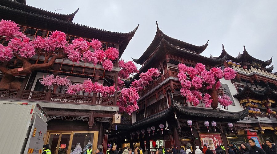 A scenic view of Shanghai Huangpu Yuyuan