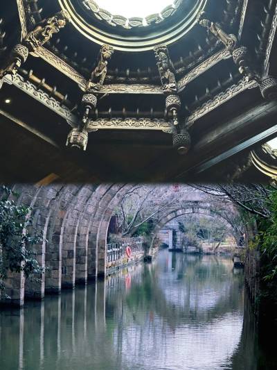 A scenic view of Shanghai Songjiang Guangfulin Yizhi