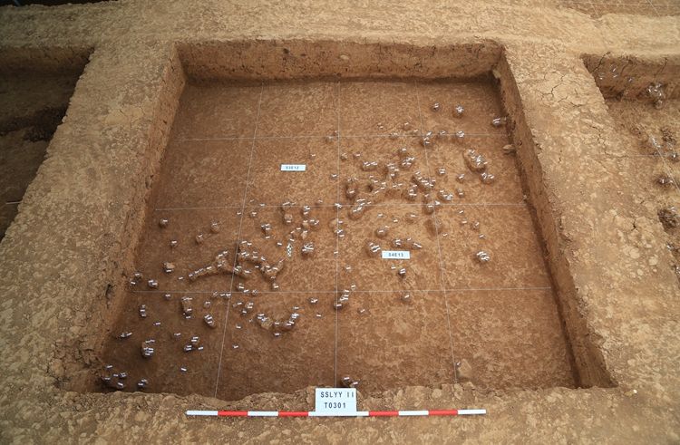 A scenic view of Shangluo Luonan Basin Paleolithic Sites