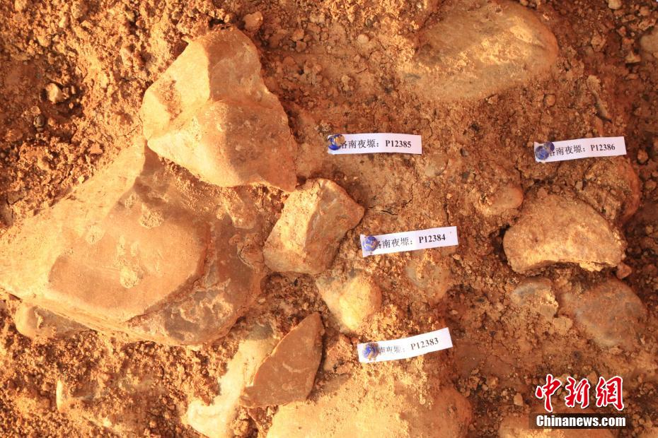 A scenic view of Shangluo Luonan Basin Paleolithic Sites