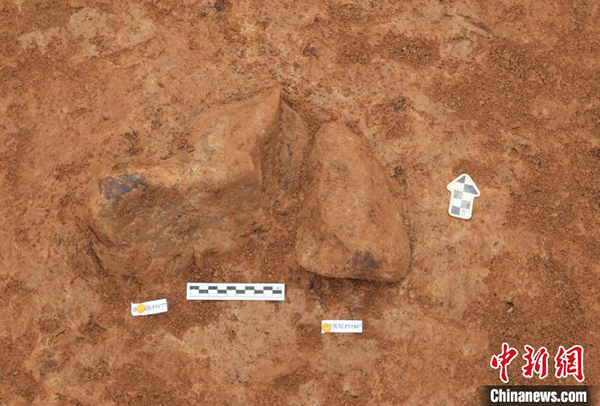A scenic view of Shangluo Luonan Basin Paleolithic Sites