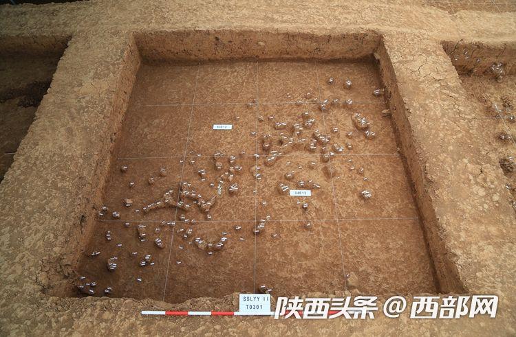 A scenic view of Shangluo Luonan Basin Paleolithic Sites
