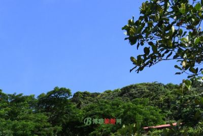 A scenic view of Shangluo Zijing Site