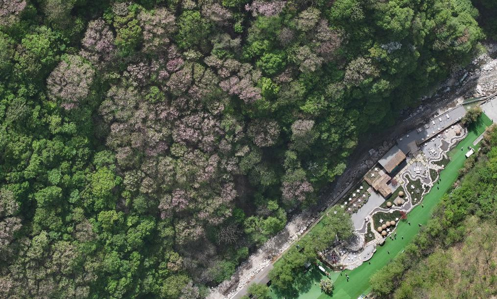 A scenic view of Shangluo Zijing Site