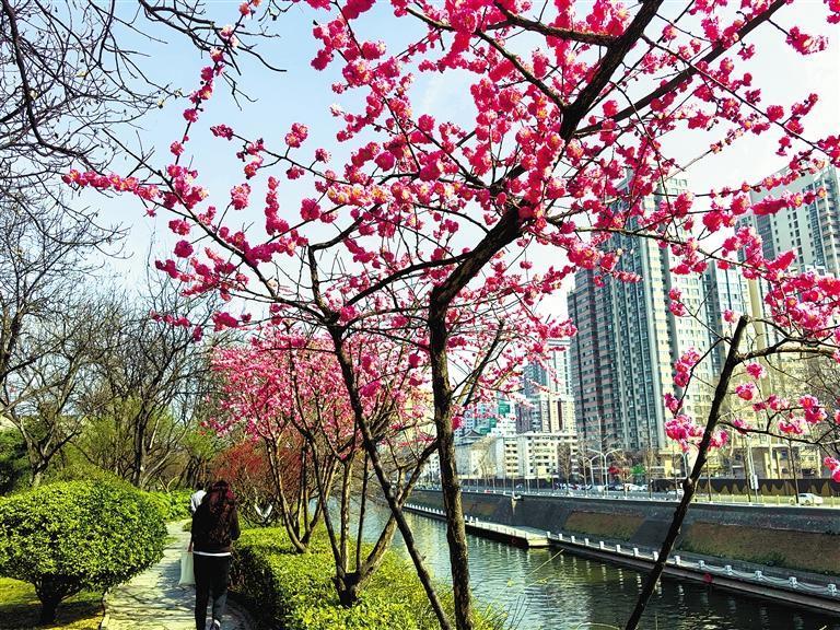A scenic view of Shangluo Zijing Site