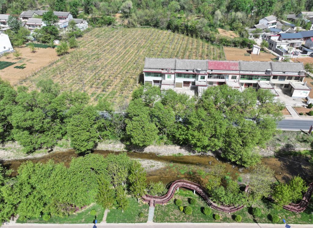 A scenic view of Shangluo Zijing Site