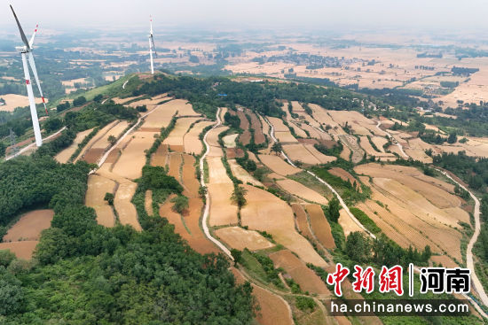 A scenic view of Shangqiu Lizhuangyizhi