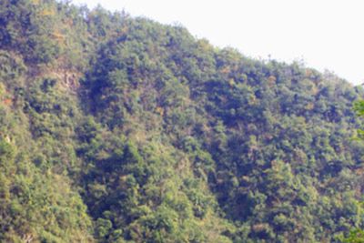 A scenic view of Shangrao Wufushan Yinqiankuang Yizhi
