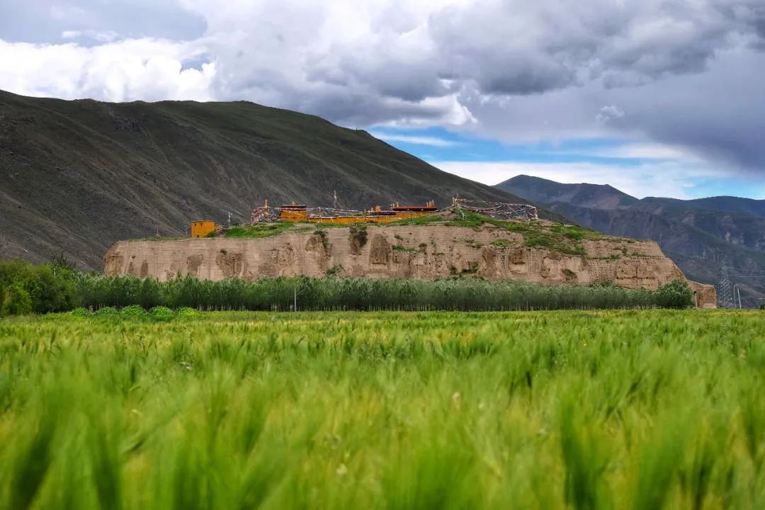 A scenic view of Shannan Langselin Zhuangyuan